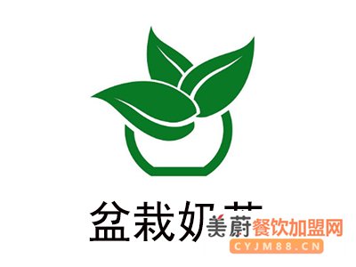 盆栽奶茶加盟费多少钱|加盟的具体操作步骤是什么