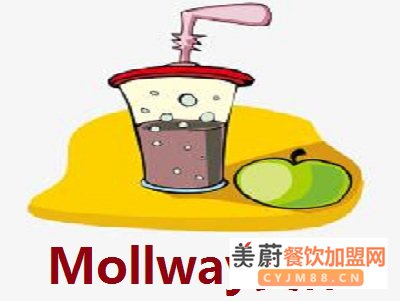 15万,能不能开一家Mollway莫伟加盟店!