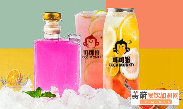 cocomonkey可可猴加盟费