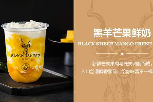 黑羊社奶茶加盟详情，黑羊社奶茶加盟赚钱吗？