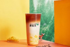 漂流茶怎么加盟？加盟费用及加盟条件介绍