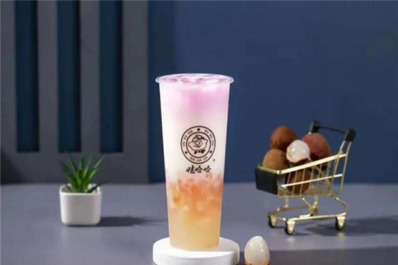 娃哈哈奶茶加盟怎么样 娃哈哈奶茶几万元