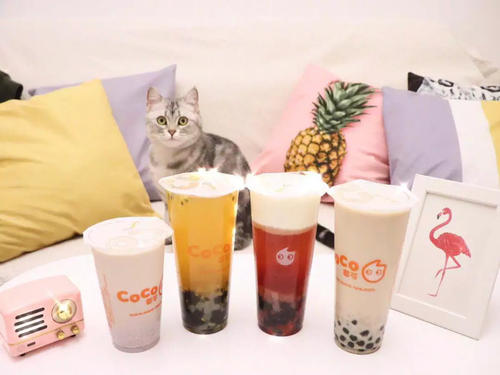 coco奶茶加盟怎么样,coco奶茶加盟电话