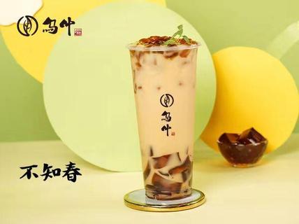 乌叶奶茶加盟费多少钱,乌叶奶茶加盟怎么样