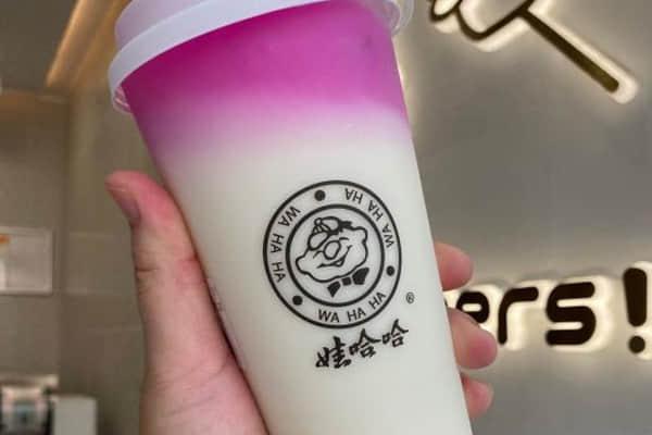 哇哈哈奶茶加盟费多少钱，官网总部加盟电话