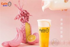 开个coco奶茶店赚钱么？好项目不容错过！