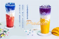 女主角奶茶加盟条件,开启茶饮时代新纪元