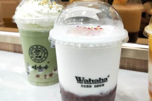 怎样开一家娃哈哈奶茶加盟店？仅几步就能开店成功！