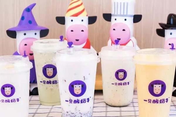 一只酸奶牛怎么样?看看加盟商的反应就知道了